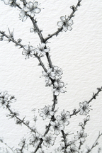 Blütenzweige Detailierte Zeichnung Beruhigende Botanische Kunst | Illustration und Zeichnung | Kunstgattungen