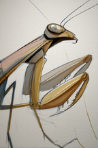 Gebet Mantis Kunstwerk Stilisiertes Design | Illustration und Zeichnung | Kunstgattungen
