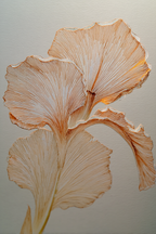 Ginkgo Blatt Kunstwerk Handgezeichnet | Illustration und Zeichnung | Kunstgattungen