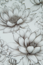 Lotus Blumen Detailierte Illustration Sanfte Linienarbeit | Illustration und Zeichnung | Kunstgattungen