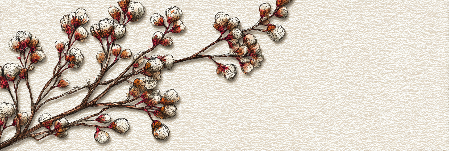 Baumzweig Mit Baumwoll Blüten | Illustration und Zeichnung | Kunstgattungen