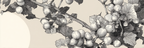 Grapevines Mit Trauben Und Blättern Monochrom Gezeichnet | Illustration und Zeichnung | Kunstgattungen