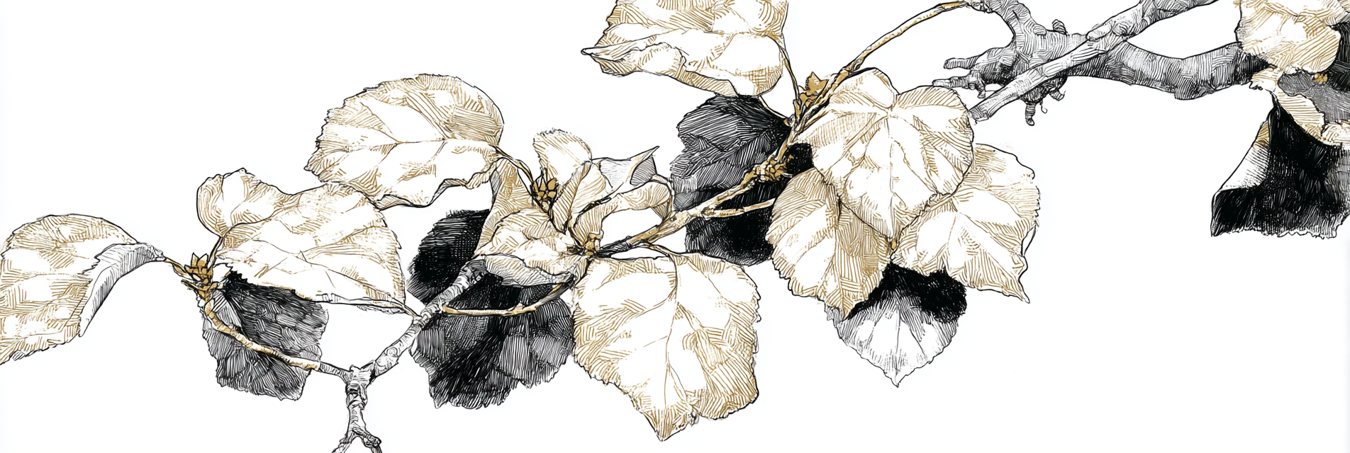 Zweig Mit Blättern Kunstvolle Illustration Gold Und Schwarz | Illustration und Zeichnung | Kunstgattungen