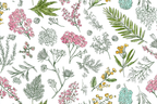 Blumenillustrationen Rosa Gelb Blau Muster Hintergrund Weiß | Illustration und Zeichnung | Kunstgattungen