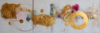 Abstrakte Malerei Mit Gold Roseton Und Texturen | Kunstdrucke | Kunstgattungen