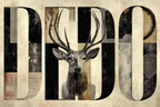 Dedo Hirsch Graphik Design Kunstwerk | Typografische Kunst | Kunstgattungen