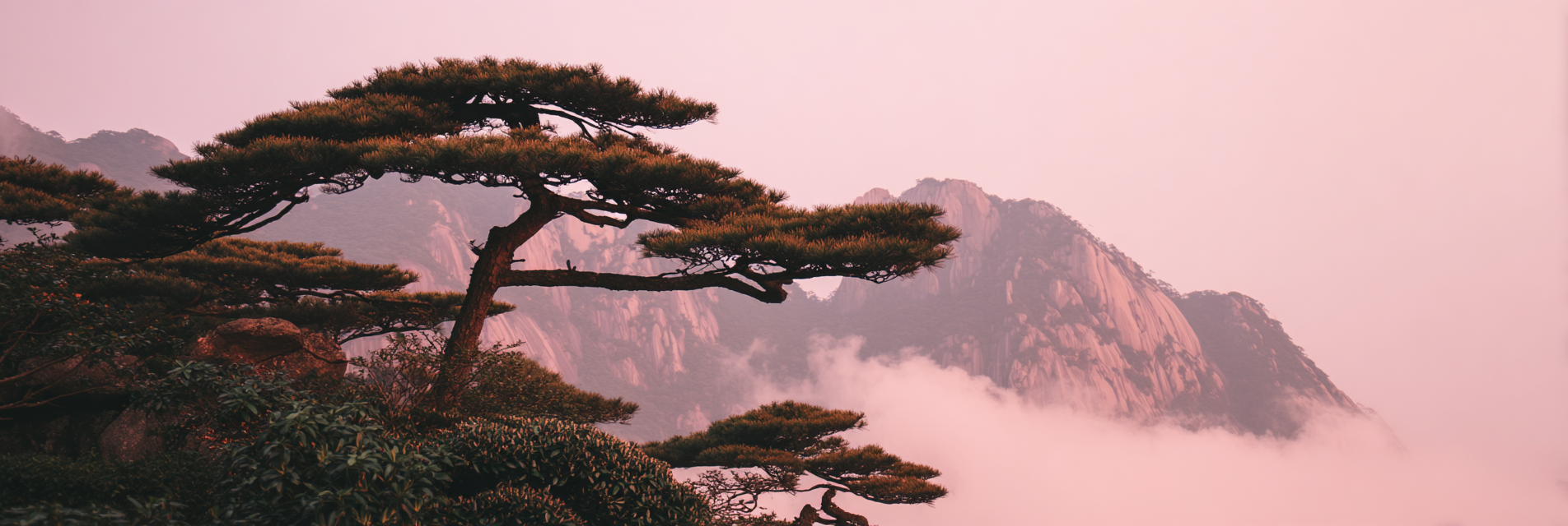 Ruhige Landschaft Mit Imposantem Baum Und Mystischen Bergen Im Morgennebel | Asien | Laender und Reisen