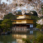 Goldener Pavillon Im Frühling | Asien | Laender und Reisen
