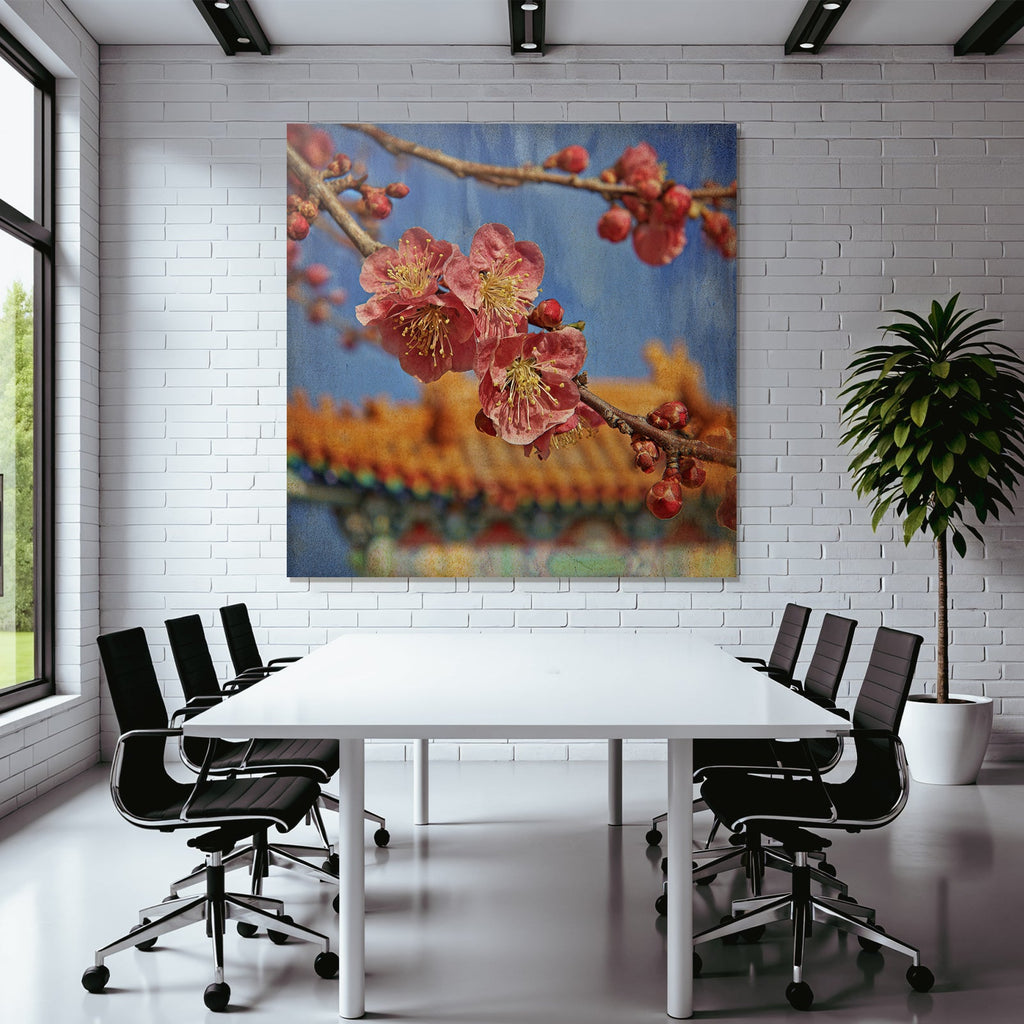 Nahaufnahme Von Rosa Blüten Und Knospen Am Ast Vor Verschwommener Architektur
