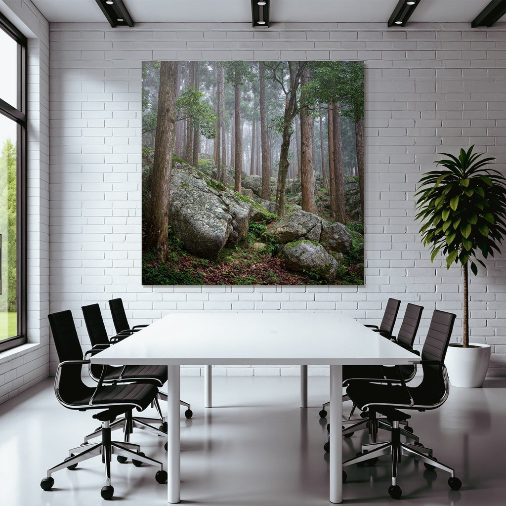 Nebeliger Wald Mit Hohen Bäumen Und Grossen Felsen