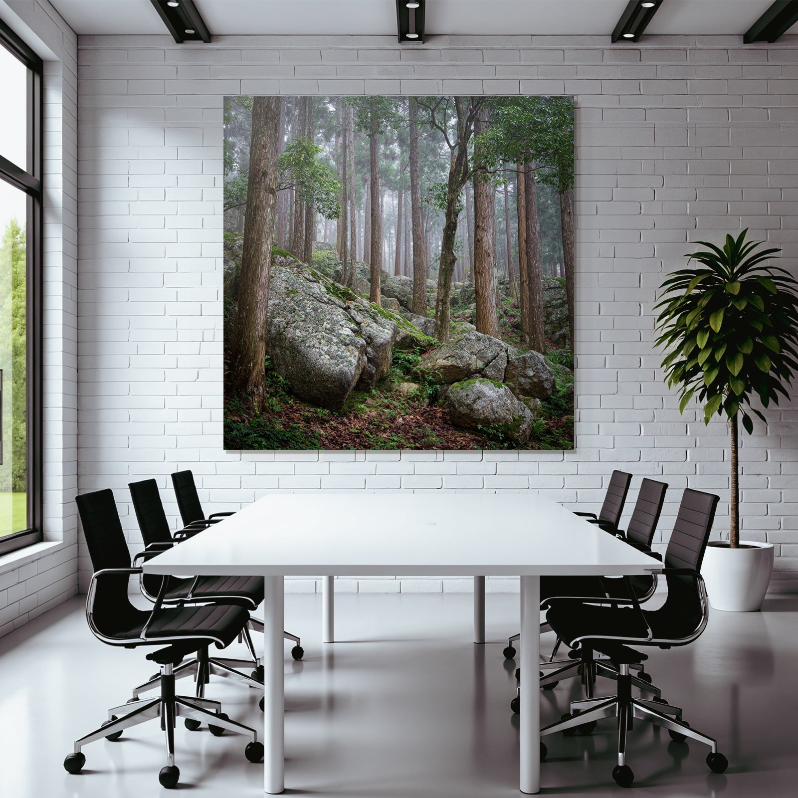 Nebeliger Wald Mit Hohen Bäumen Und Grossen Felsen