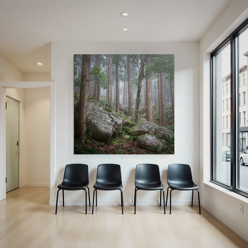 Nebeliger Wald Mit Hohen Bäumen Und Grossen Felsen