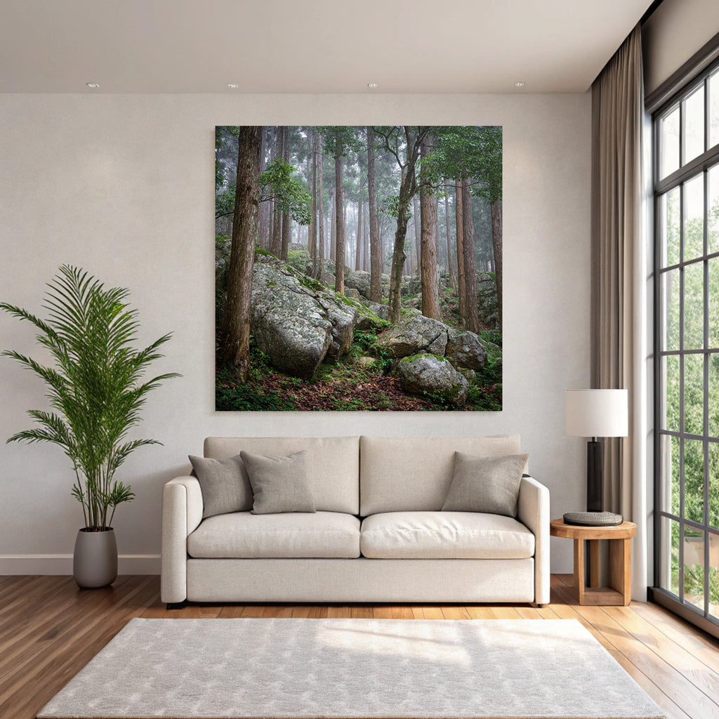 Nebeliger Wald Mit Hohen Bäumen Und Grossen Felsen