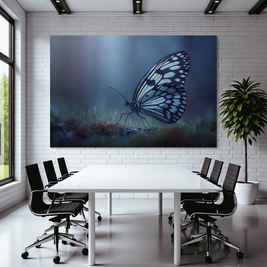 Etherealer Blaür Schmetterling Nahaufnahme