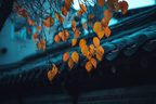 Herbstblätter Vor Traditionellem Ziegeldach | Asien | Laender und Reisen