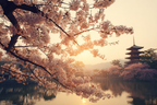 Kirschblütenlandschaft Am Wasser Bei Sonnenaufgang | Asien | Laender und Reisen