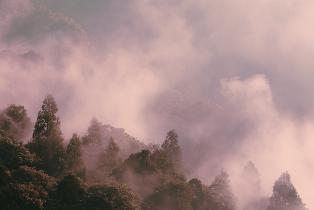Morgennebel Im Rosa Wald | Asien | Laender und Reisen