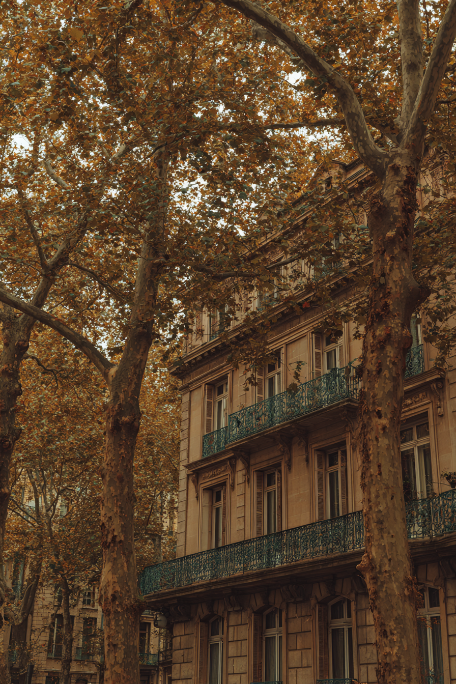 Herbstliches Stadtbild Mit Balkongebäude Und Bäumen | Europa | Laender und Reisen