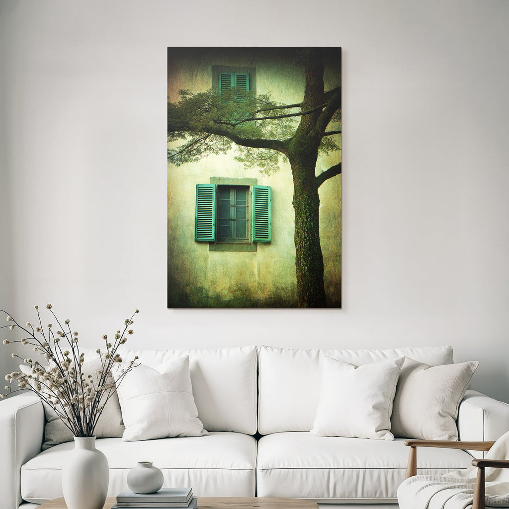 Texturierte Wand Mit Fenster Und Grünen Fensterläden Neben Baum
