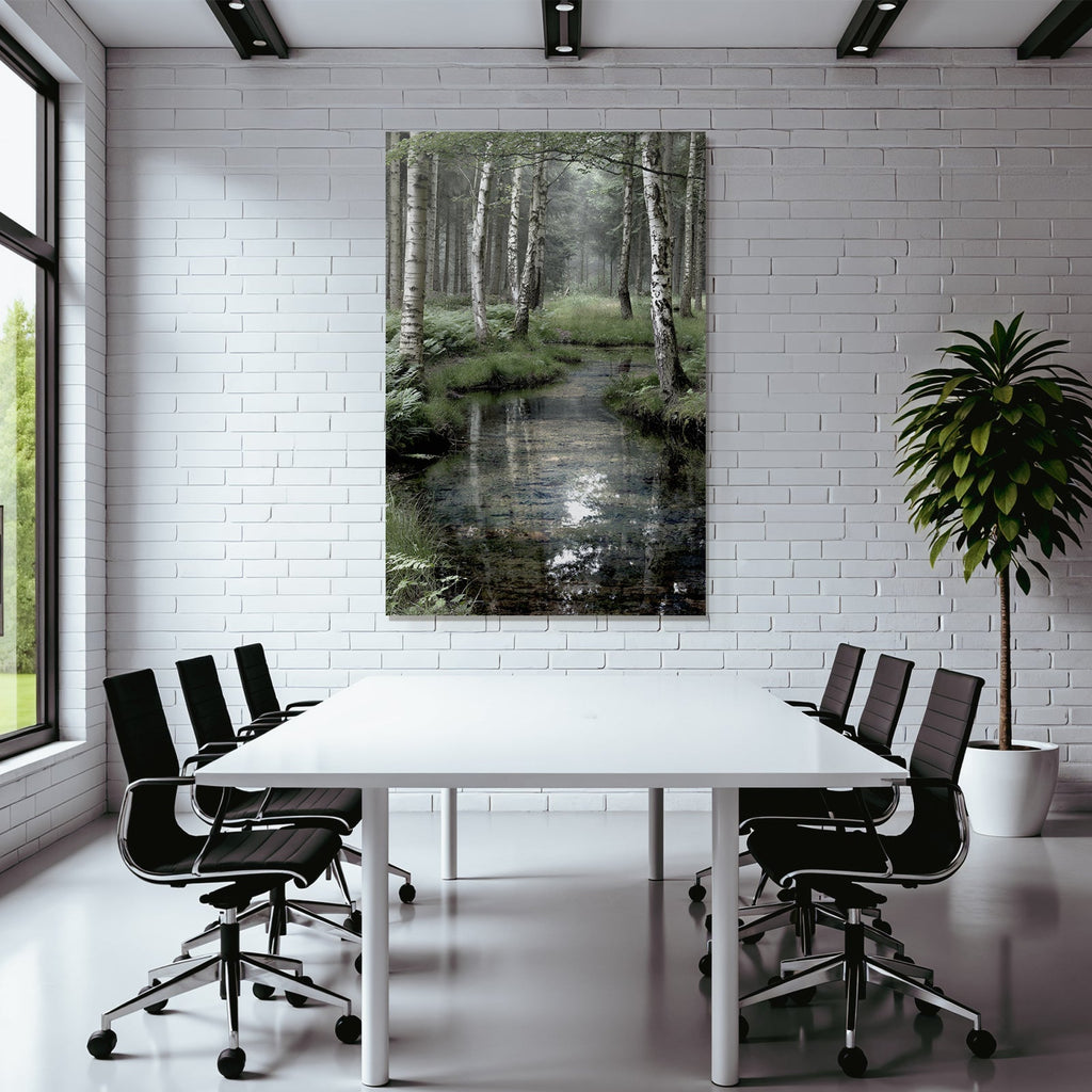 Nebelwald Mit Bach Und Farnen