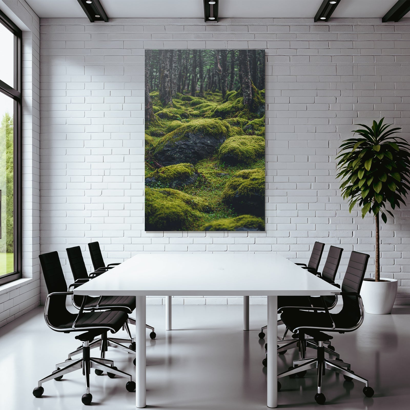 Wald Mit Moosbedeckten Felsen Und Boden