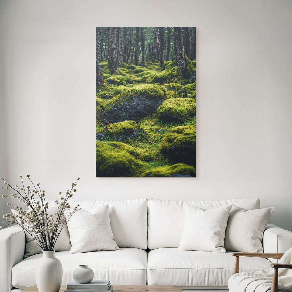 Wald Mit Moosbedeckten Felsen Und Boden