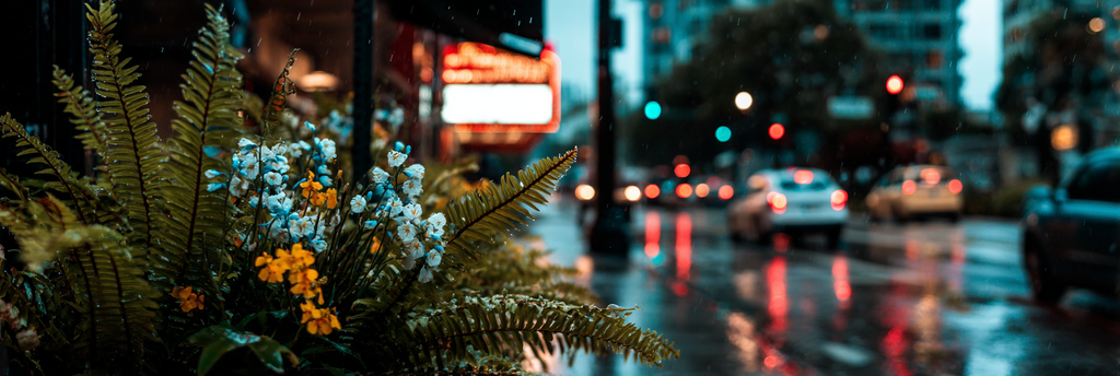 Regen Durchnässener Strassenblick Mit Bunten Blumen Farnen Und Unscharfen Autoscheinwerfern | Staedtekunst | Laender und Reisen