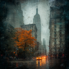 Regnerische Stadtstrasse Mit Orangenbaum Und Gelben Taxis Und Empire State Building | Staedtekunst | Laender und Reisen