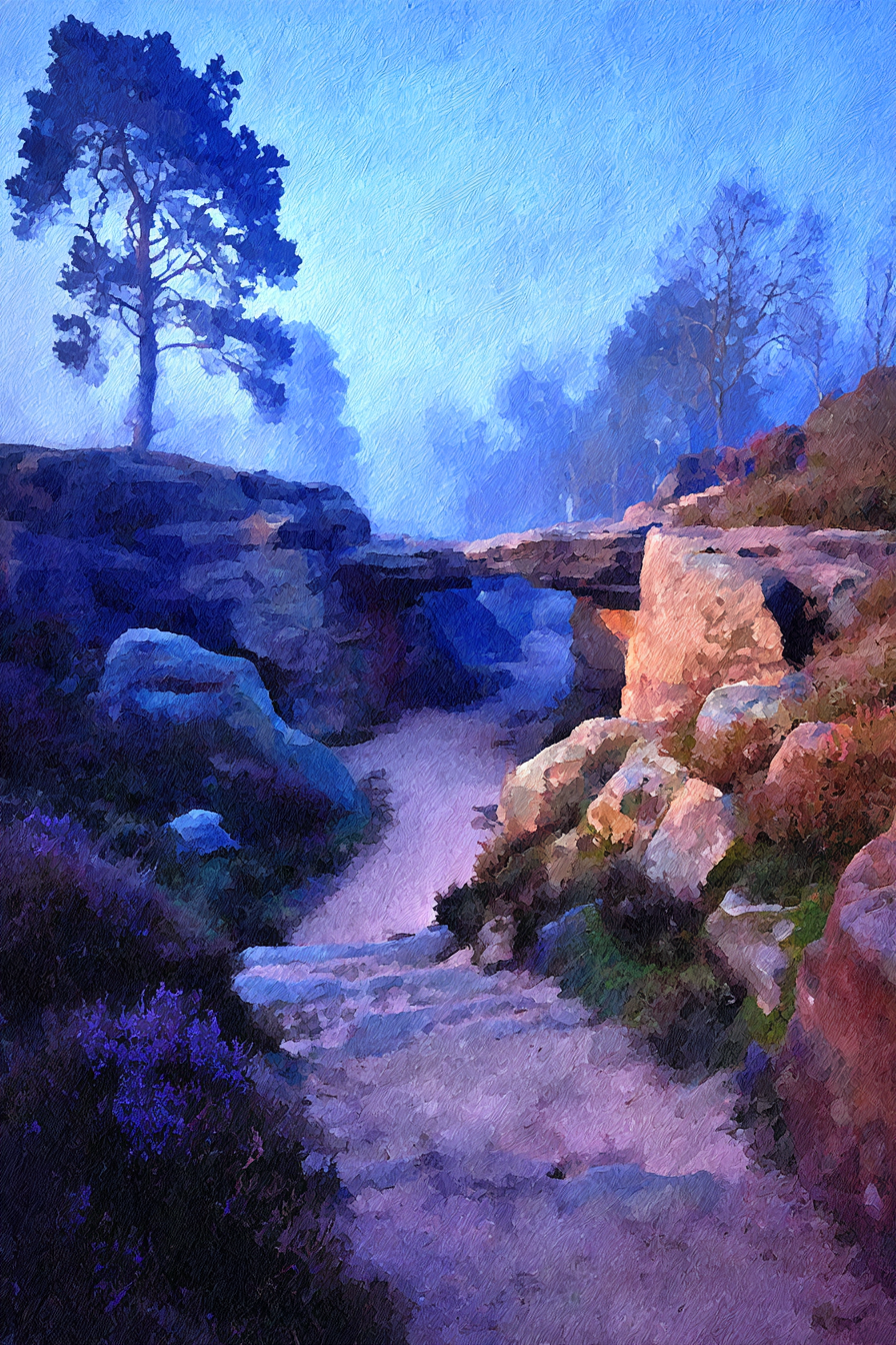 Mystische Felsformationen Mit Einer Einsamen Kiefer Im Morgennebel | UNESCO Weltkulturerbe | Laender und Reisen