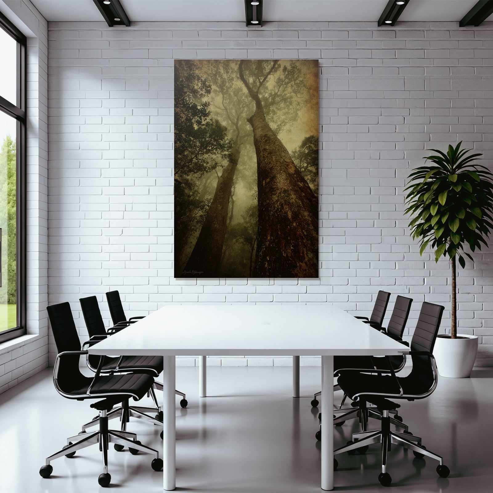 Mystischer Nebelwald Von Unten