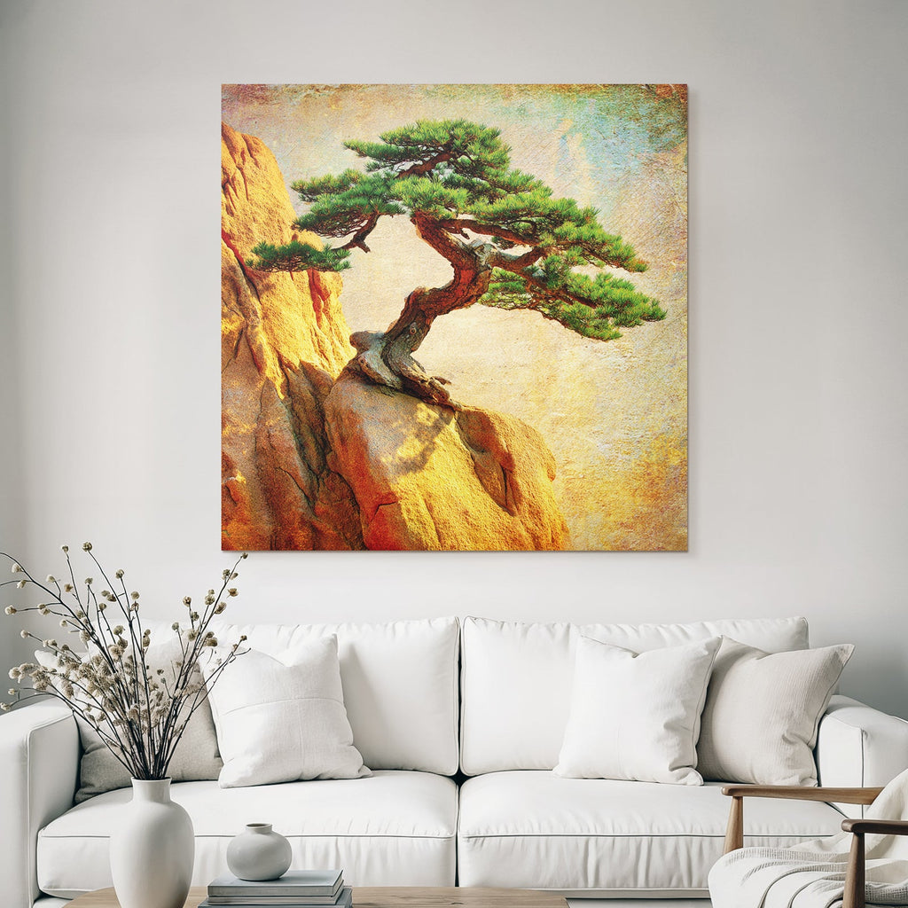 Bonsai tree on rock formation