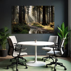 Waldlandschaft Mit Pfad Und Bach Im Sanften Licht