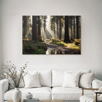 Waldlandschaft Mit Pfad Und Bach Im Sanften Licht