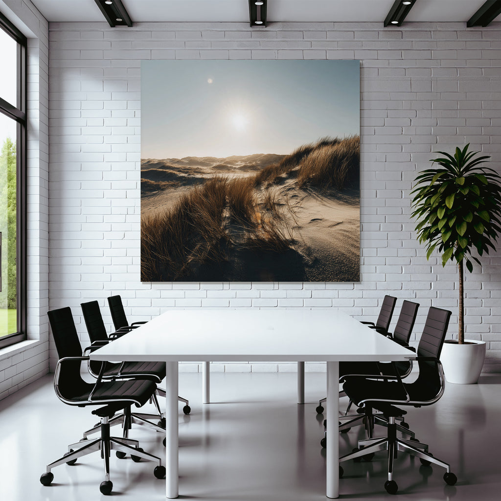 Tranquiles Naturlandschaft Sanddüne Gras Sonnenschein