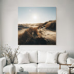 Tranquiles Naturlandschaft Sanddüne Gras Sonnenschein