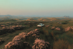 Idyllische Landschaft Mit Altem Auto Und Rose Blumen | Duenen und Heide | Landschaften