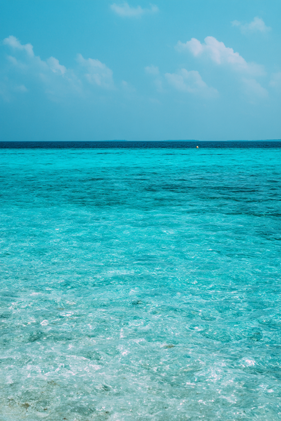 Ruhiger Ocean Mit Klaren Türkisfarbenem Wasser | Seen und Unterwasserwelten | Landschaften