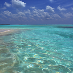 Tropischer Strand Seascape Blaür Himmel Klares Wasser | Seen und Unterwasserwelten | Landschaften