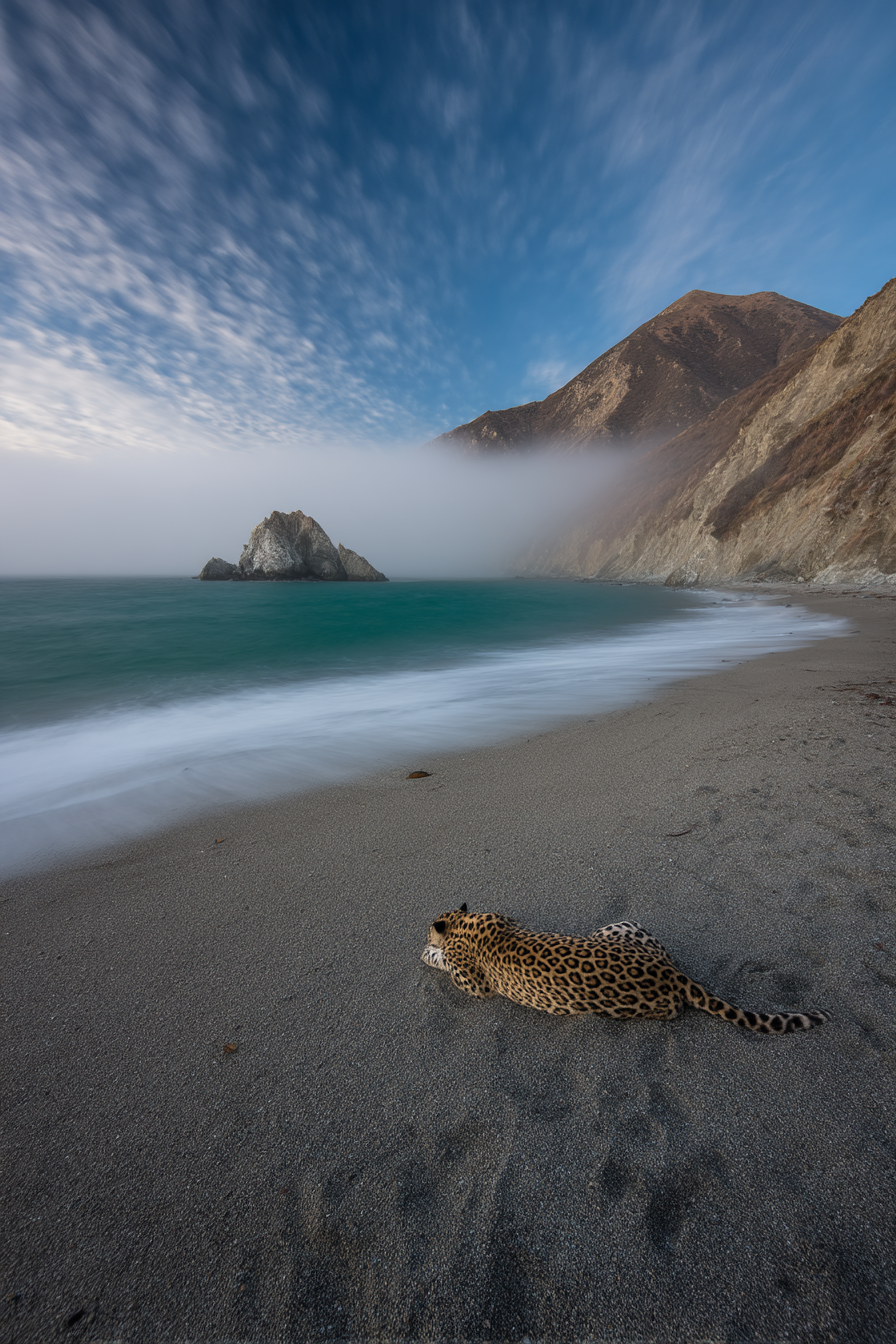 Leopard Am Strand Mit Bergen Im Hintergrund Wolken Und Wellen | Straende und Kuesten | Landschaften