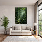 Tropics and Jungle Dense Tropical Rainforest with Sunshine