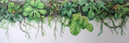 Tropen Und Dschungel Detaillierte Wasserfarbenillustration Von Grünen Pflanzen Und Foliage | Tropen und Dschungel | Landschaften