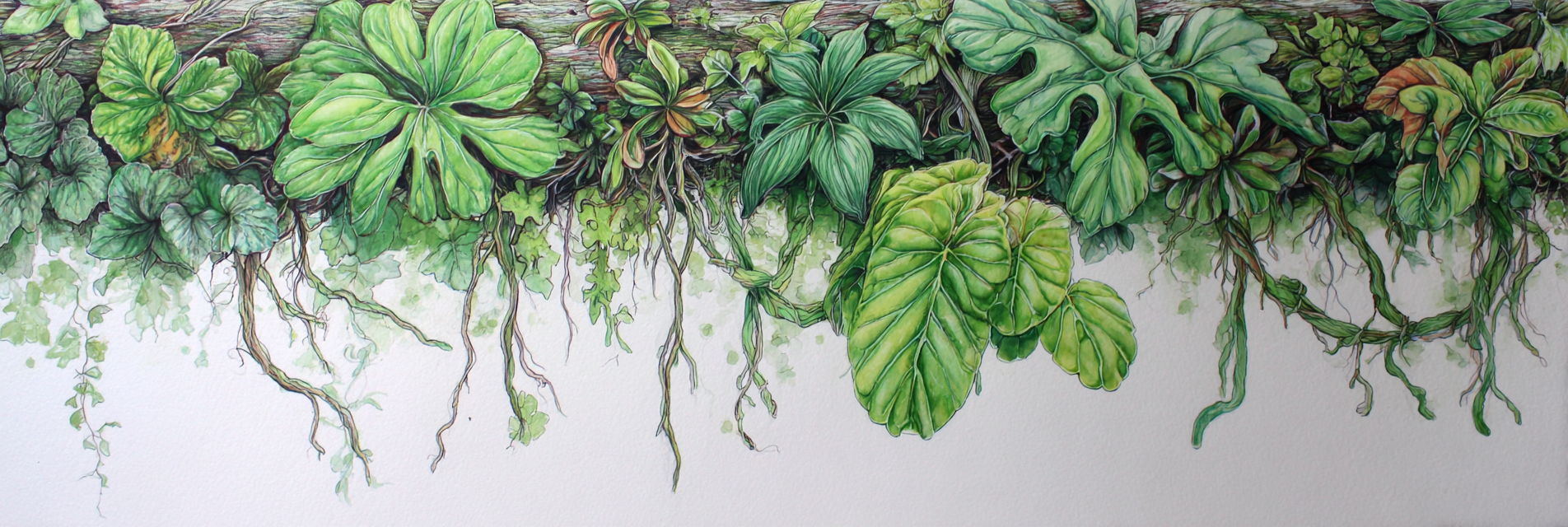 Tropen Und Dschungel Detaillierte Wasserfarbenillustration Von Grünen Pflanzen Und Foliage | Tropen und Dschungel | Landschaften