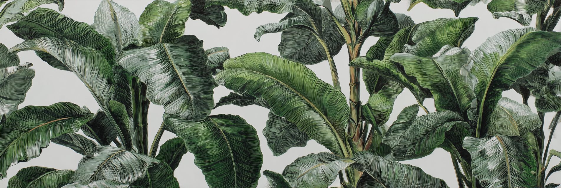 Tropen Und Dschungel Lush Grünes Blatt Detail Tropische Pflanzen Hintergrund | Tropen und Dschungel | Landschaften