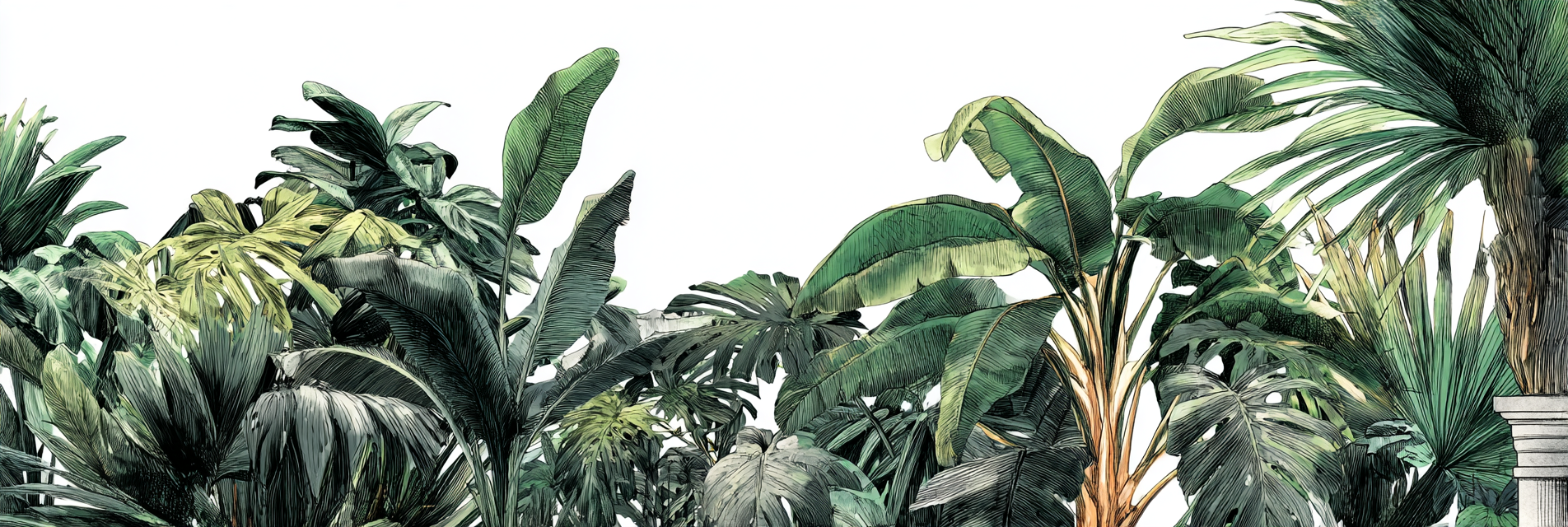 Tropen Und Dschungel Tropische Pflanzen Blattillustration Grüne Und Gelbe Farben | Tropen und Dschungel | Landschaften