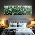 Tropical and Jungle Tall Grass with Dew Fresh Garden Setting