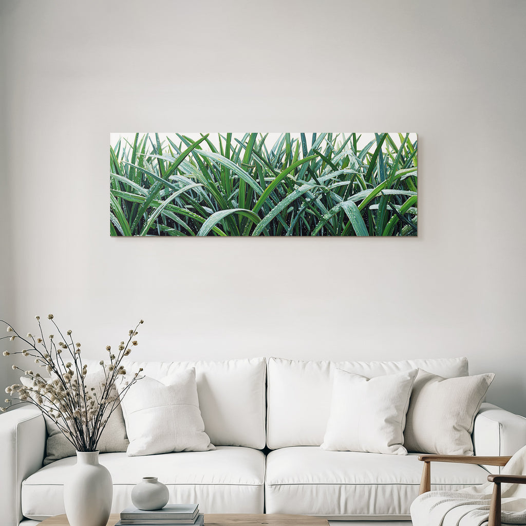 Tropical and Jungle Tall Grass with Dew Fresh Garden Setting