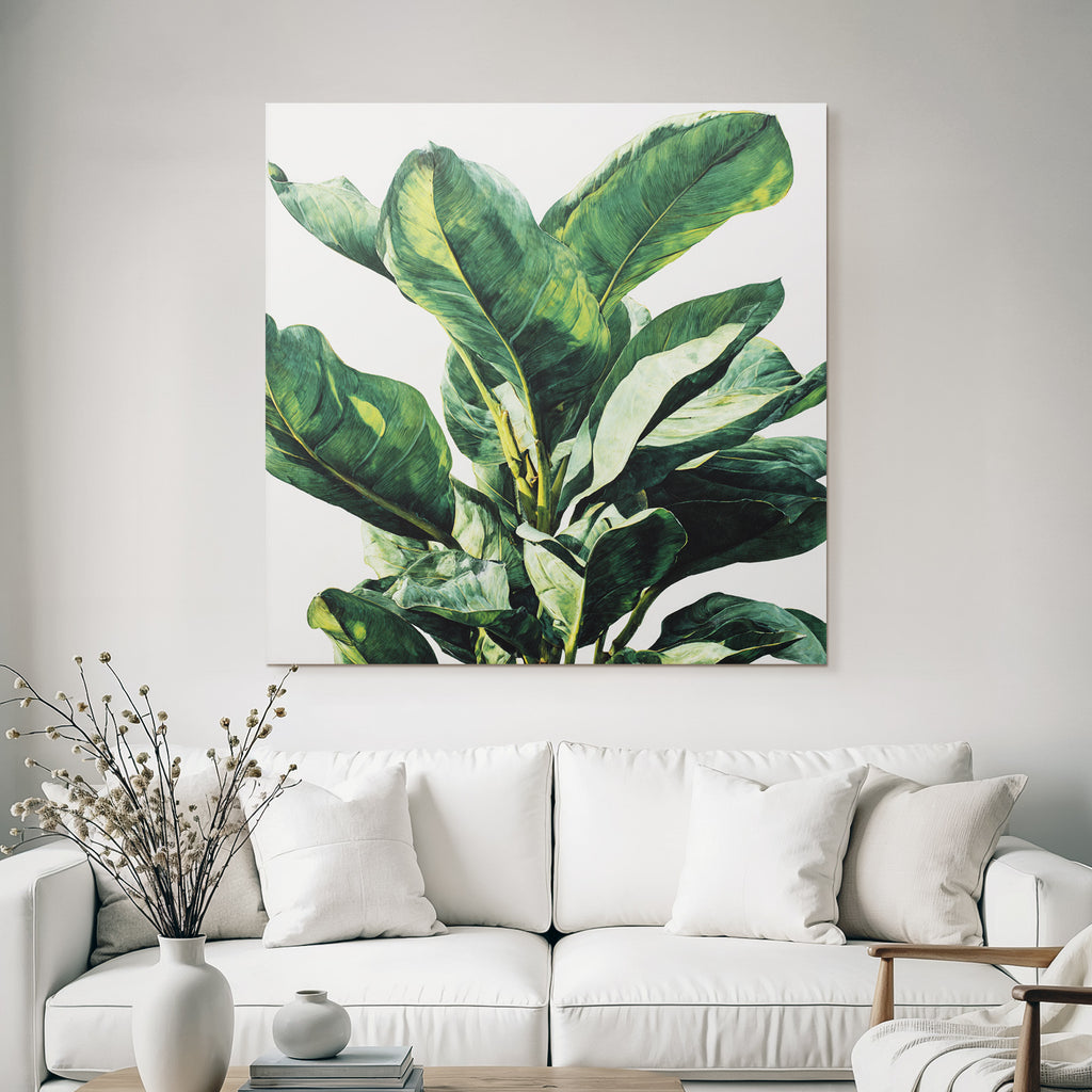 Tropics and Jungle Green Leaves Tropical Plant