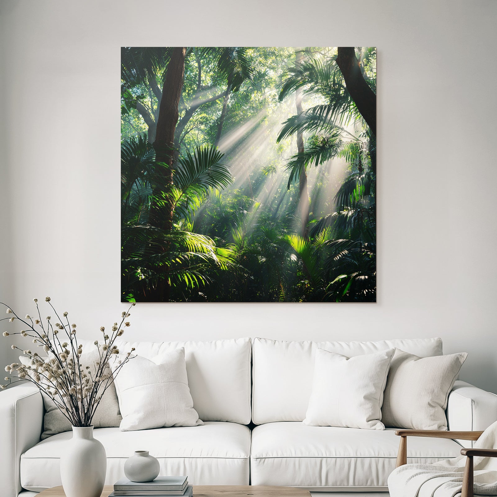 Tropics and Jungle Lush rainforest scenes with sunshine and dense vegetation