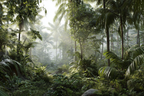 Tropen Und Dschungel Tropischer Regenwald Mit Sonne Durch Folien Und Dichter Vegetation | Tropen und Dschungel | Landschaften