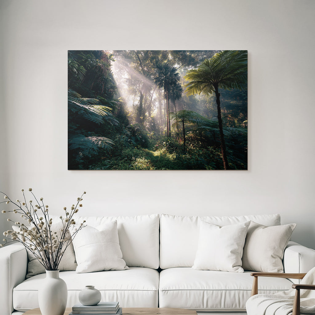 Tropics and Jungles Lush Forests Sunlight Film Through the Treetops Mystical Atmosphere